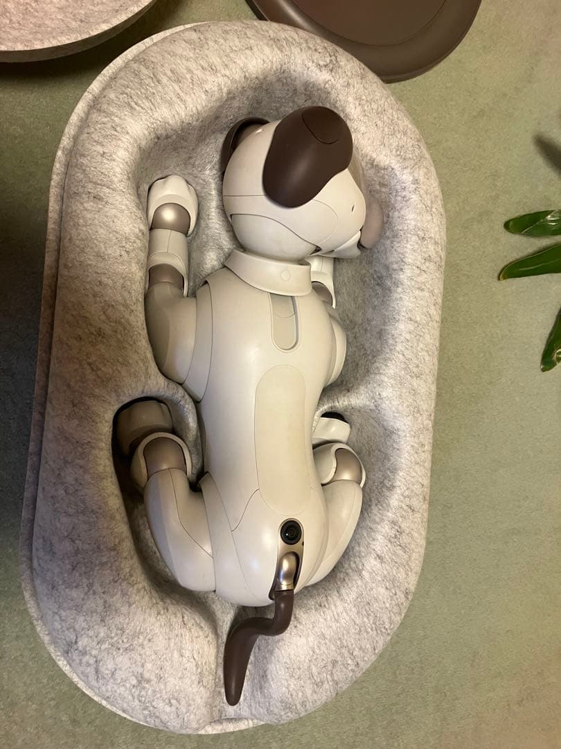 aibo アイボ　エンタテインメントロボット ERS-1000