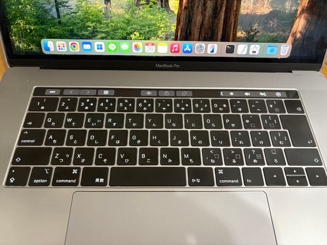 MacBook本体 MacBook Pro 2018 15 inch i9 32GB 512GB