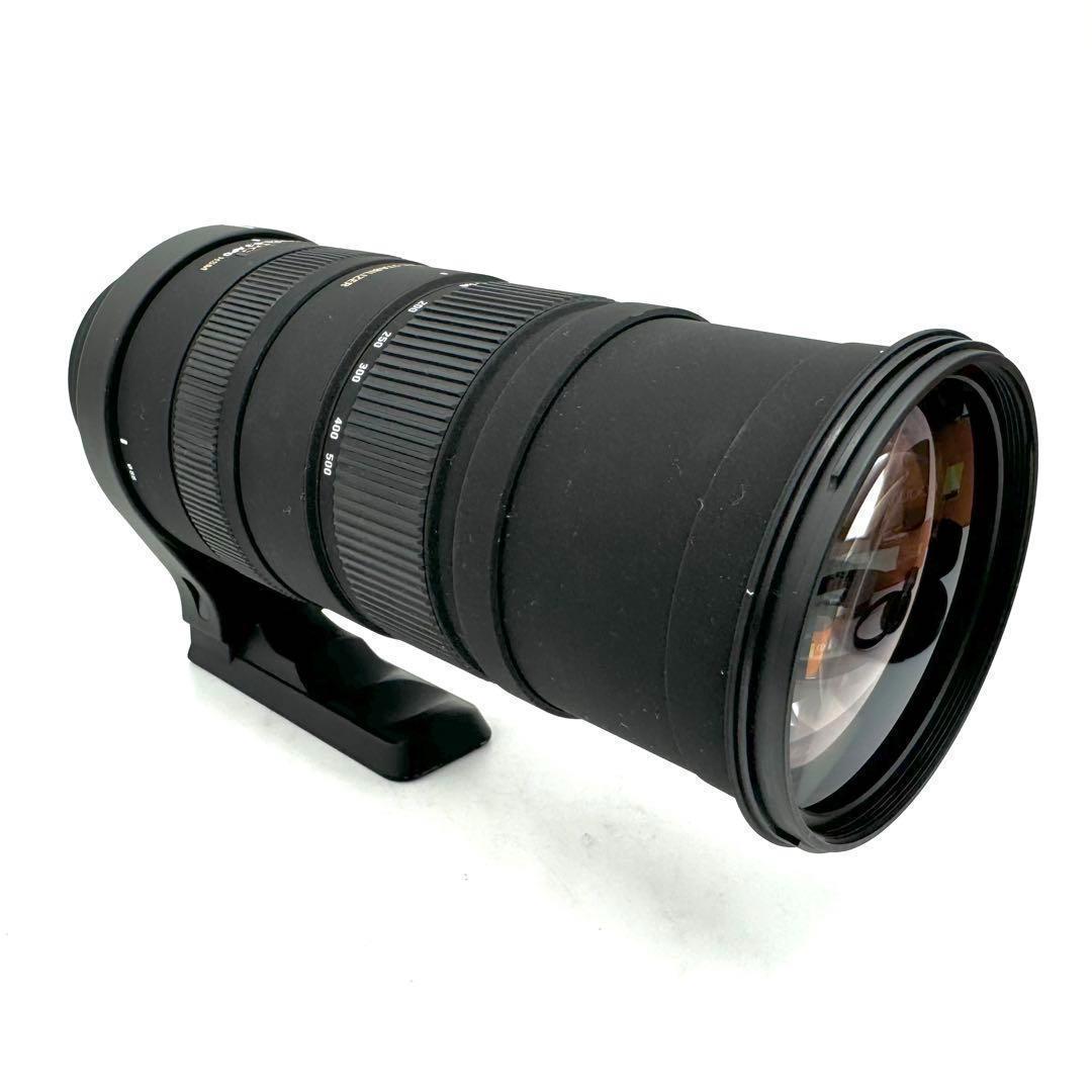 ❁大迫力❁SIGMA DG 150-500mm APO OS HSM CANON