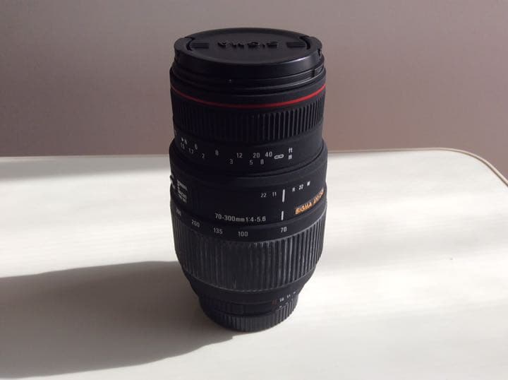 その他 SIGMA 70-300mm F4-5.6 APO DG MACRO