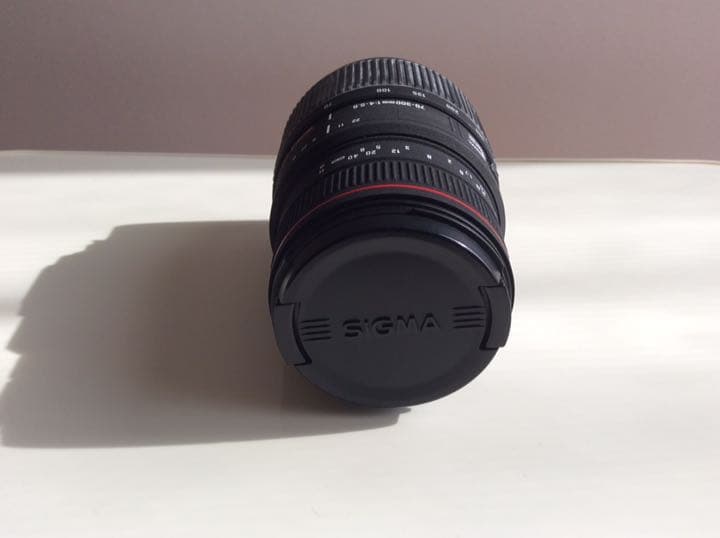 その他 SIGMA 70-300mm F4-5.6 APO DG MACRO