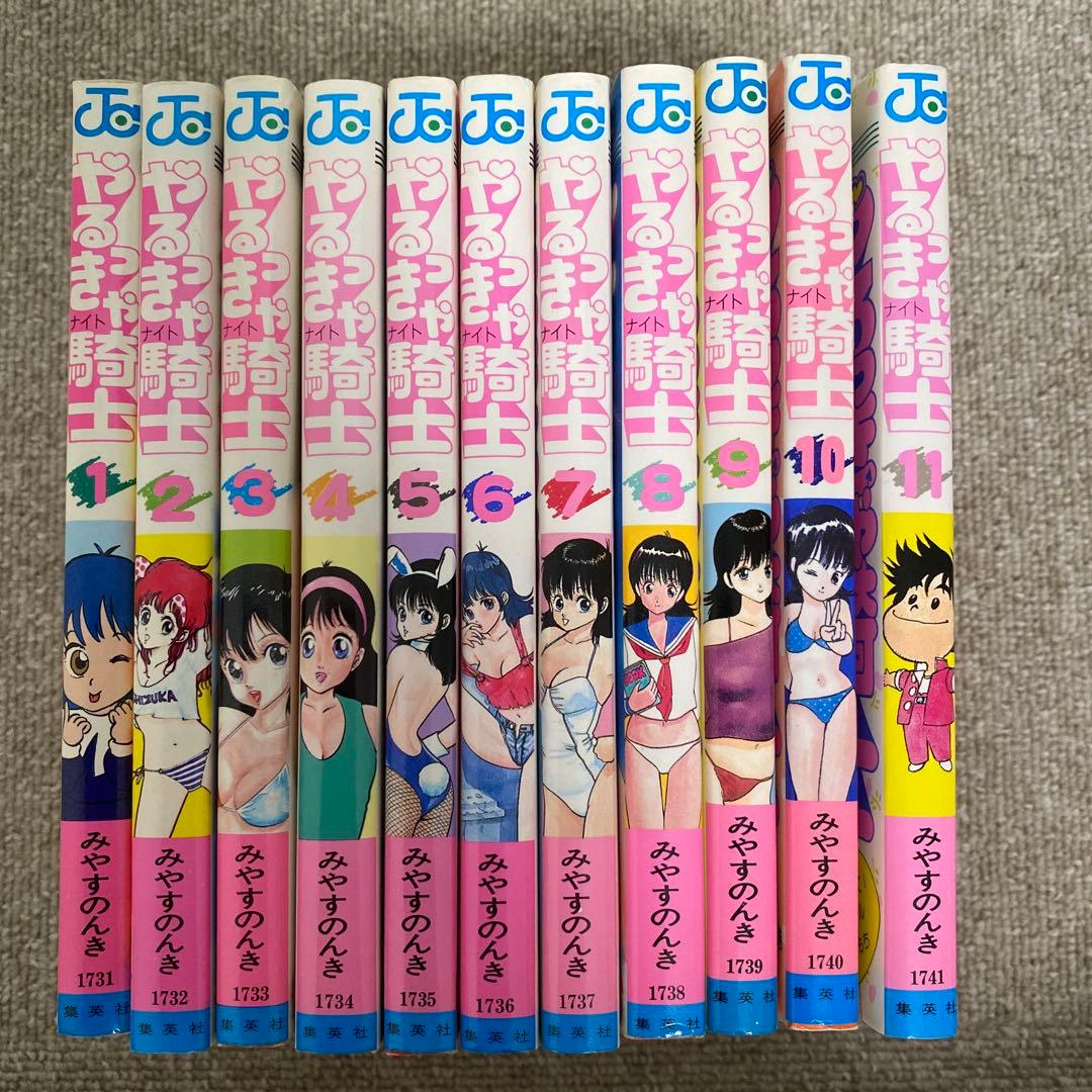 やるっきゃ騎士全11巻セット