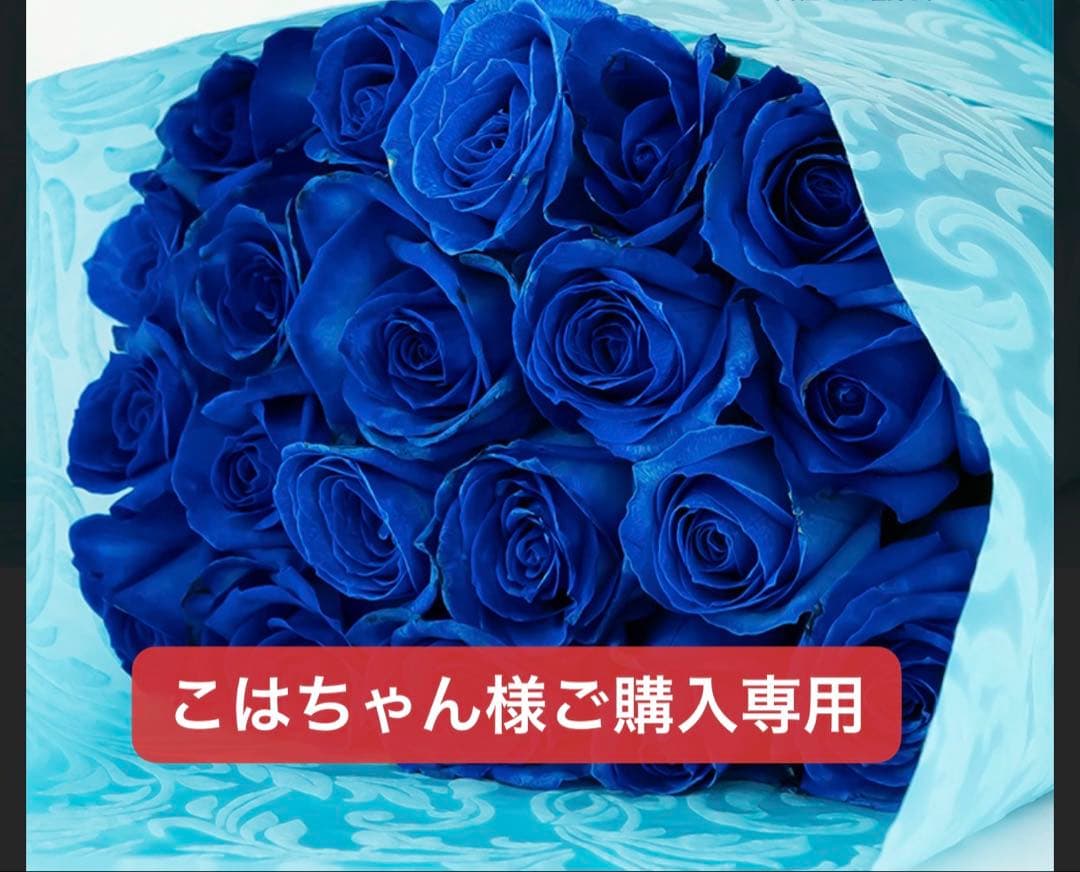 こはちゃん様ご購入専用ページ