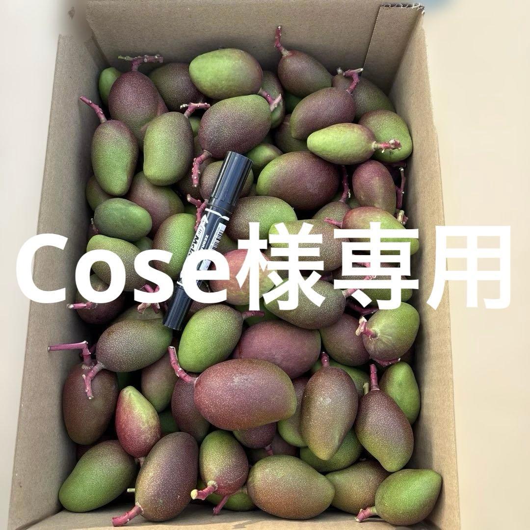 摘果マンゴー2/13