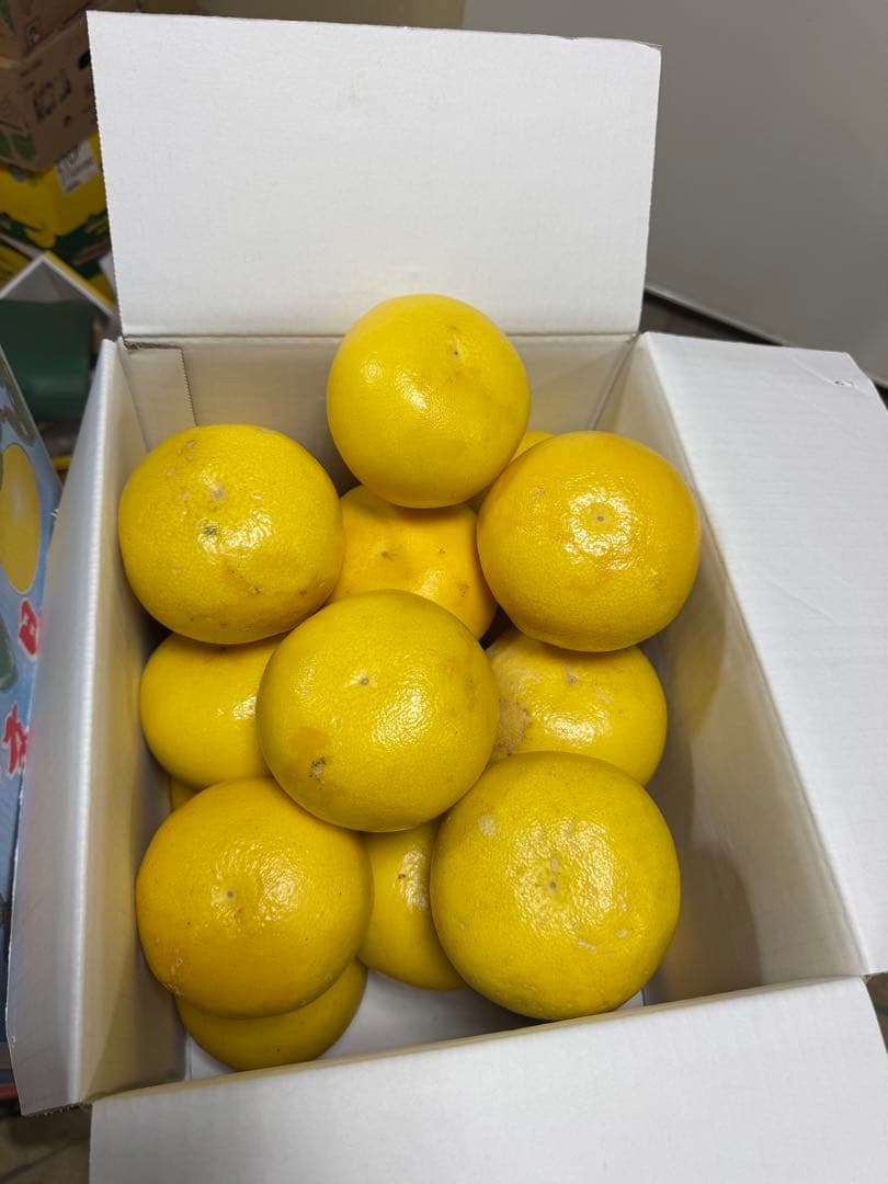 文旦　水晶文旦　みかん　好きに　　28