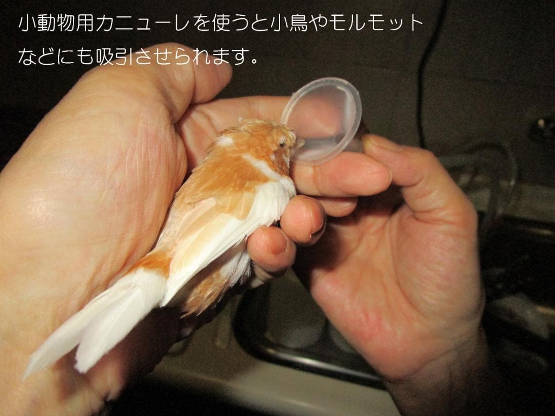 高速時短水素吸引・どこでも使える・1回で水素水の120万倍　水素付セットモデル