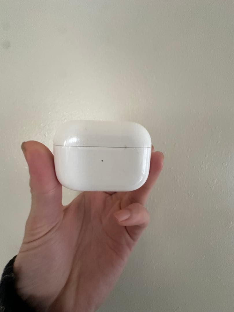 AirPods pro ケースだけ。