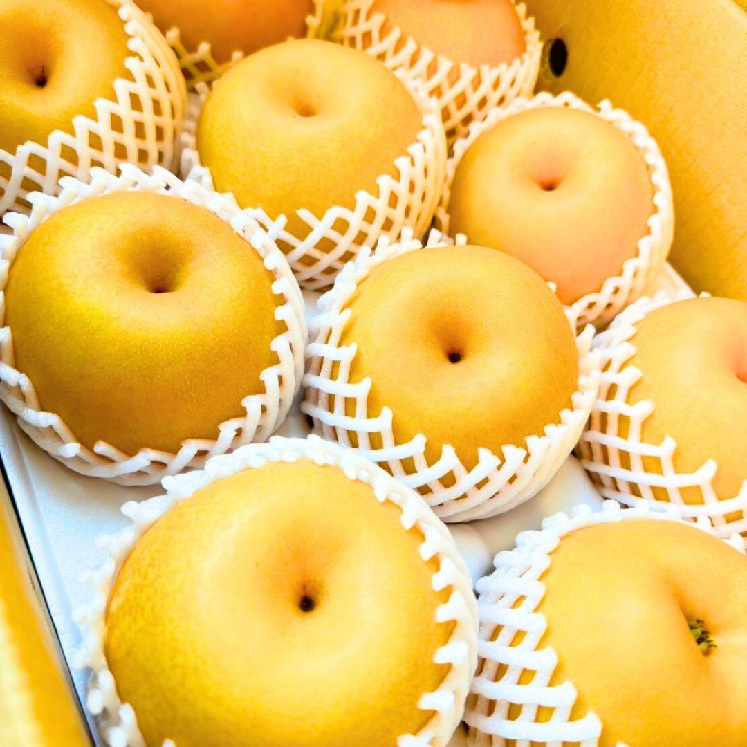 梨　新高梨　30玉　　01