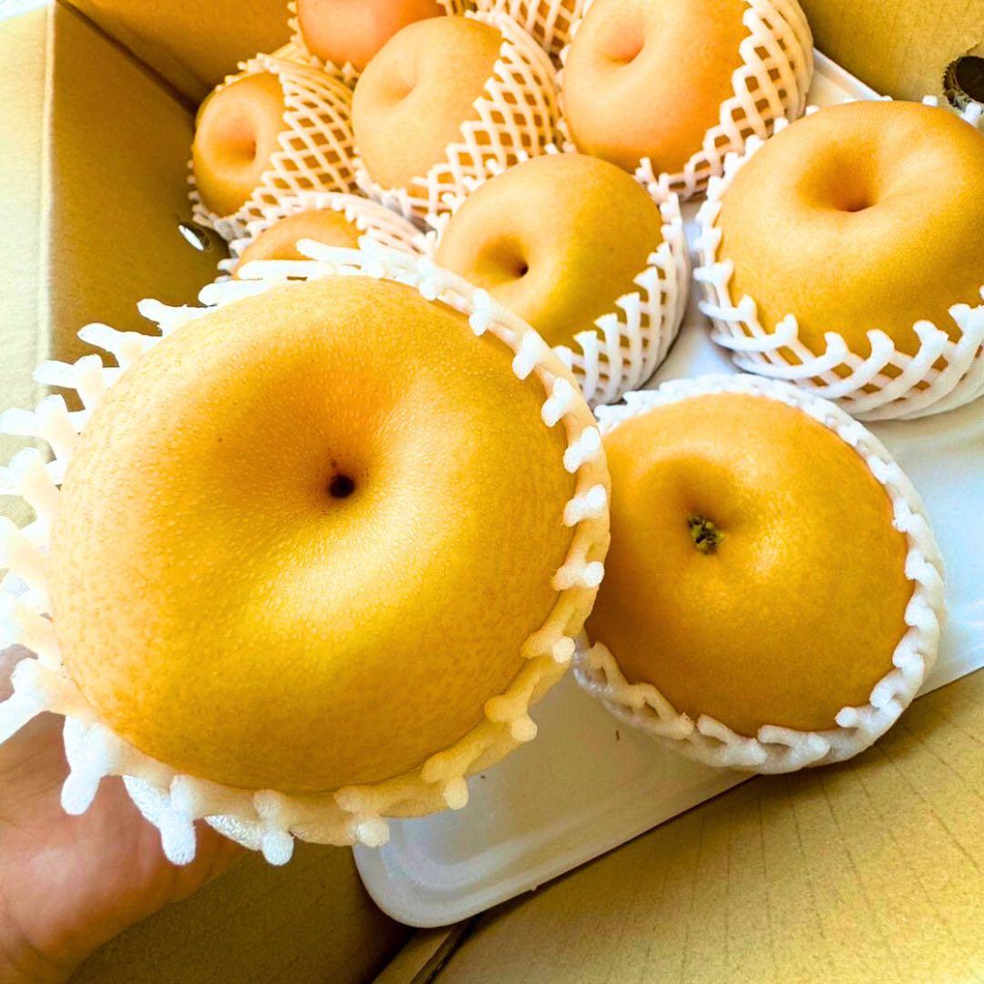 梨　新高梨　30玉　　01