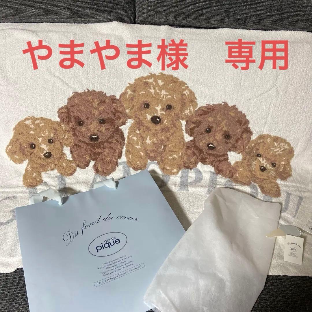 ジェラートピケ　ジェラピケ　トイプードル　ブランケット　袋付き　かわいい　犬