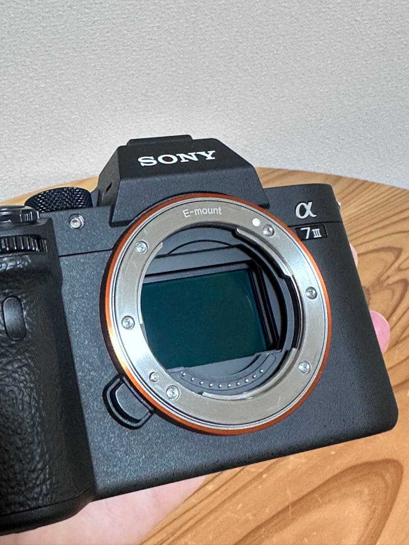 【ショット数極少】SONY α7 III ILCE-7M3K ズームレンズキット
