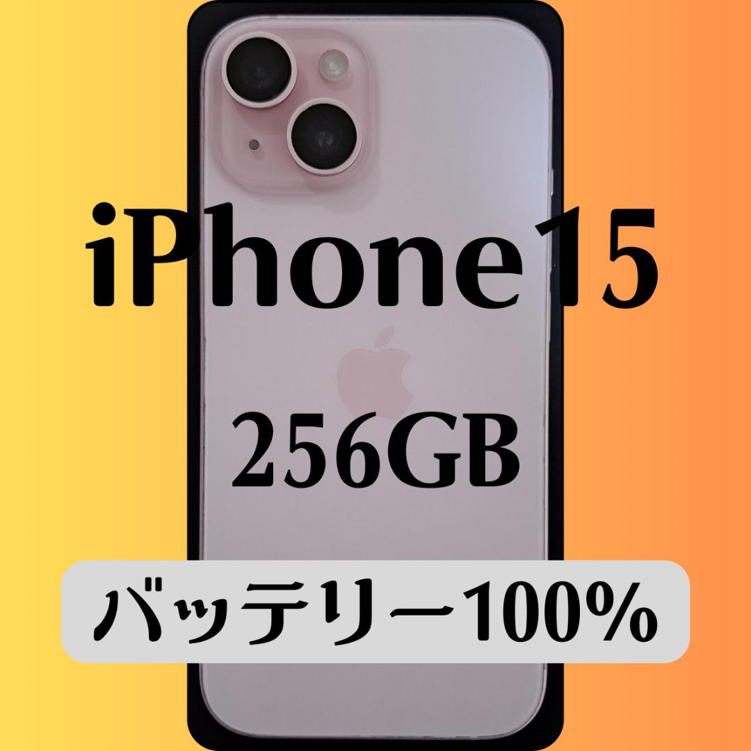 15 256GB バッテリー容量100％