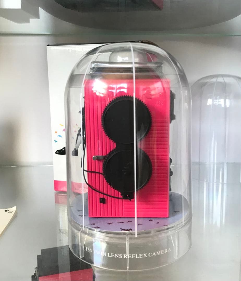 blackbird fly ディケイド