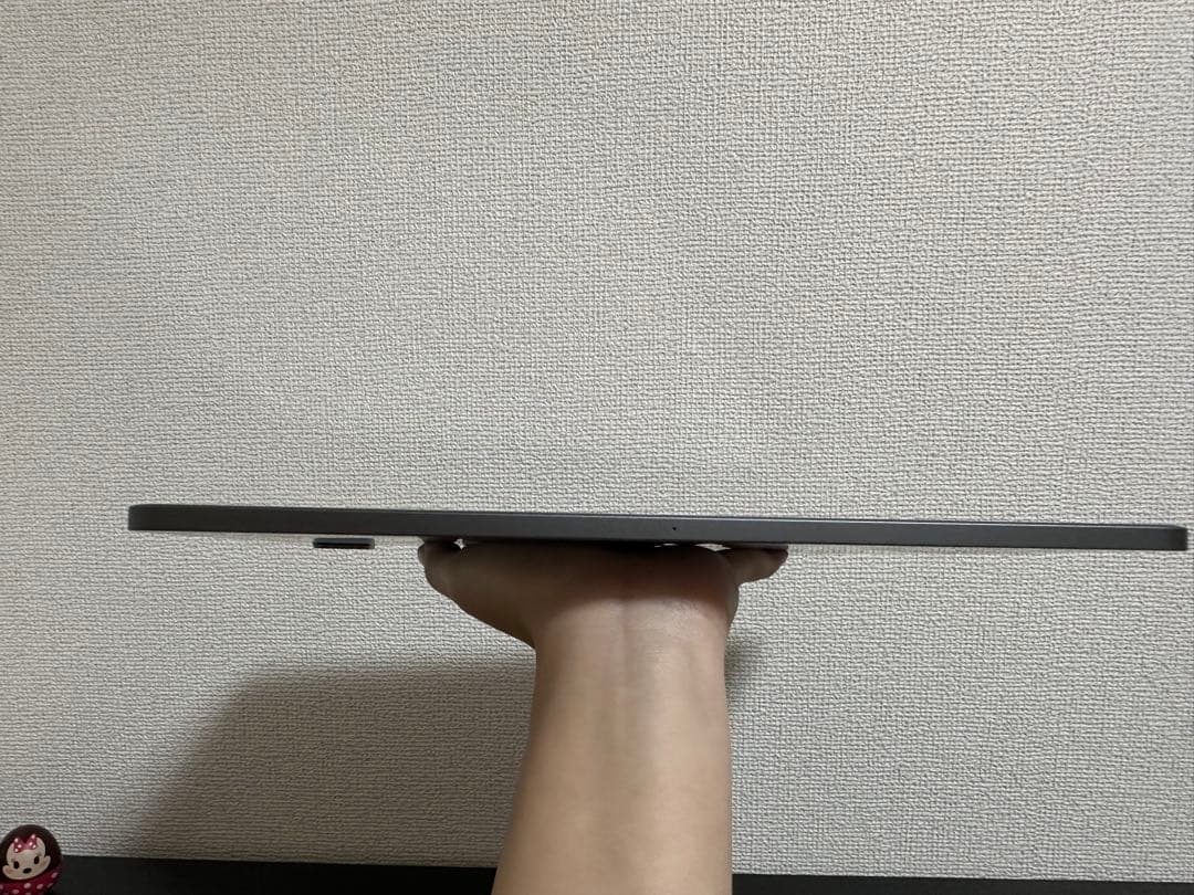 iPad Pro (12.9インチ) 第5世代 WiFiモデル