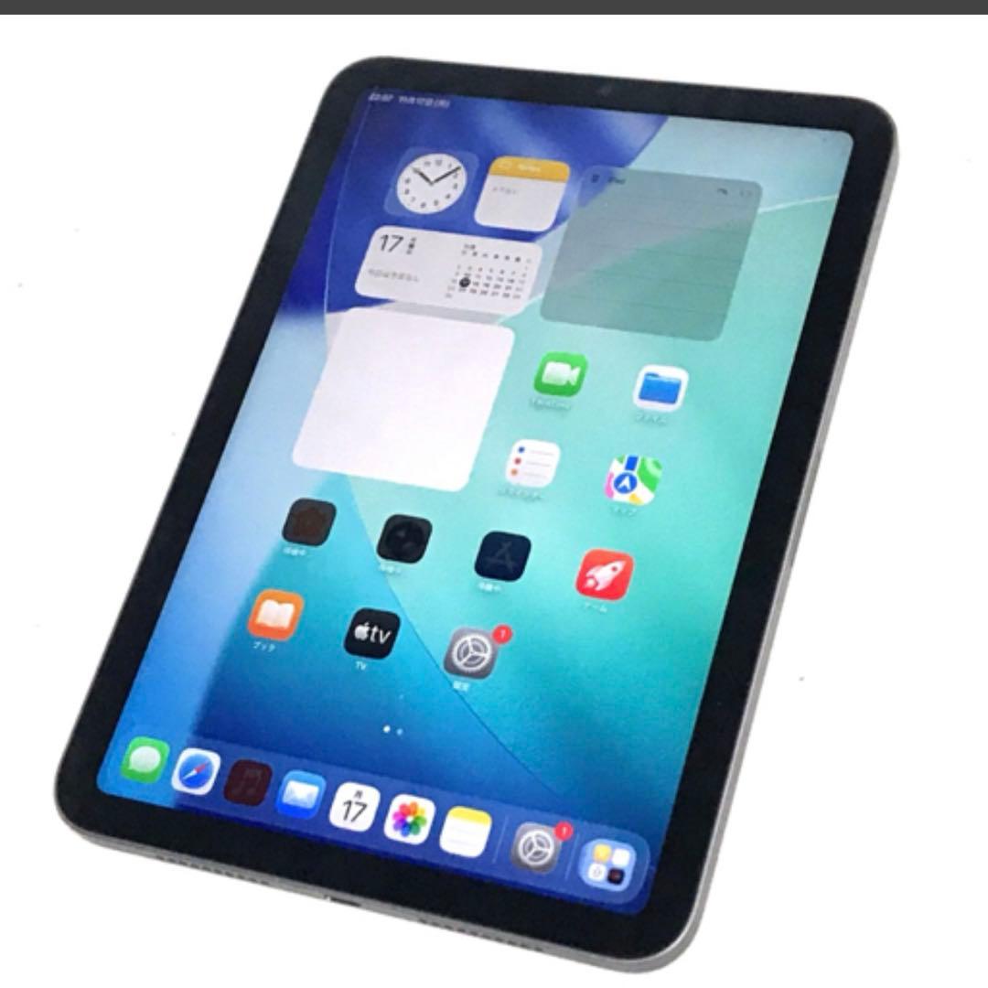 P*n様 Apple iPad mini 第6世代 Wi-Fiモデル 256GB