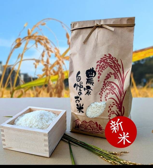 (ラストのお米)令和７年　北海道産　ゆめぴりか　10キロ　農家直送