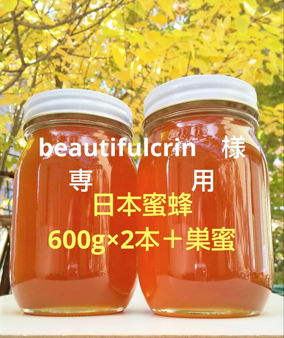 日本みつばち採りたて(生巣蜜、蜂蜜)183g＋600g×2本#8　　　　宮城県産