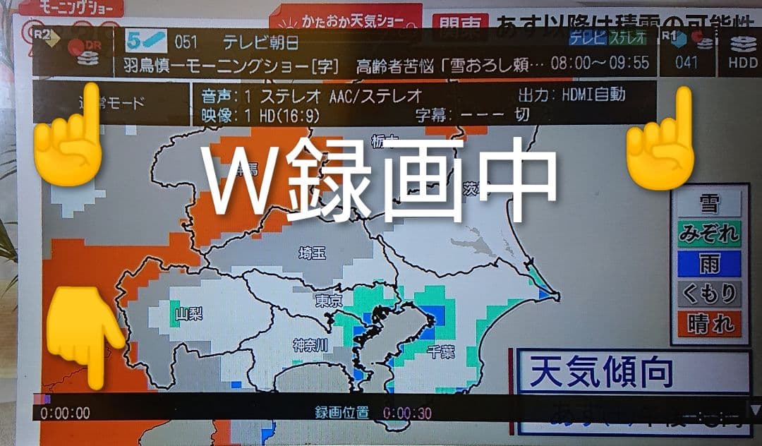 週末限定/1TB/東芝/DBR-Z250/スロットイン式/W録画/CMスキップ