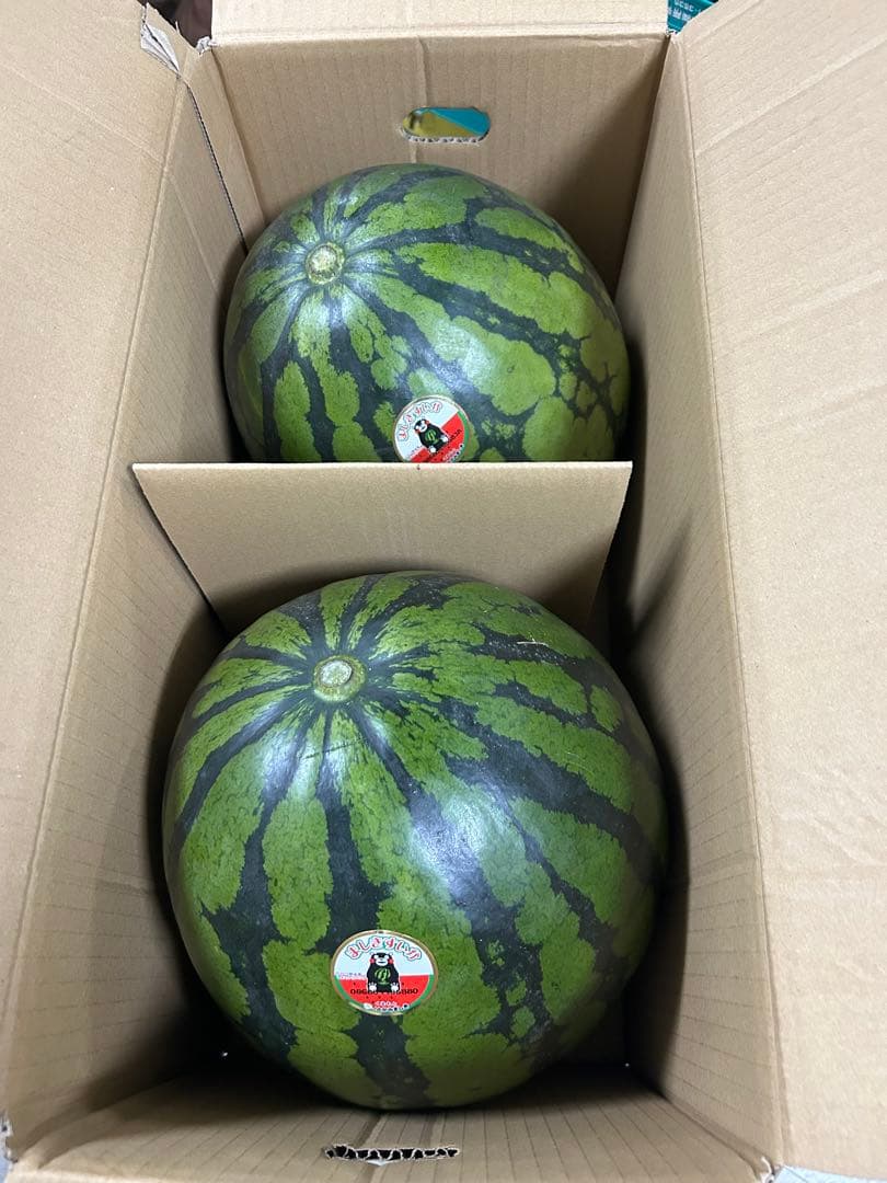 熊本県スイカLサイズ2玉入り　約14kg