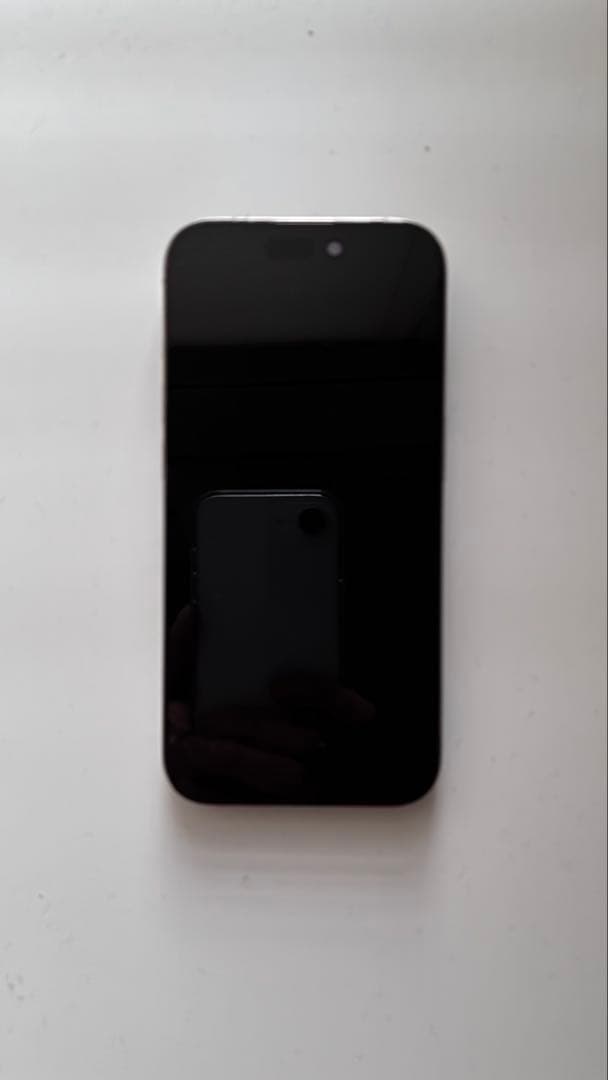 iPhone15Pro SIMフリー　※要確認事項あり