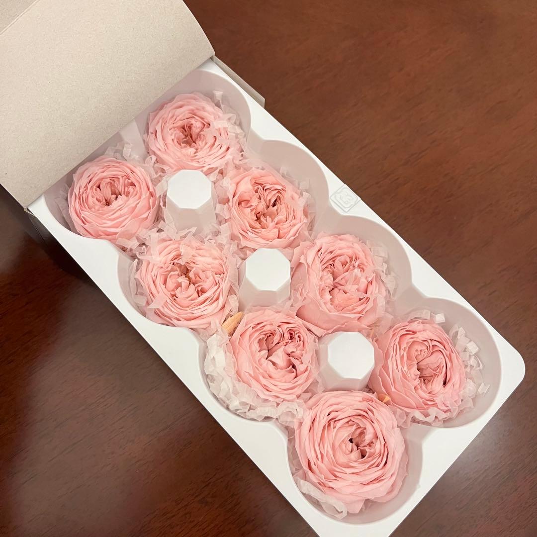 20 プリザーブドフラワー　大地農園　まとめ売り　ビビアン　かのん