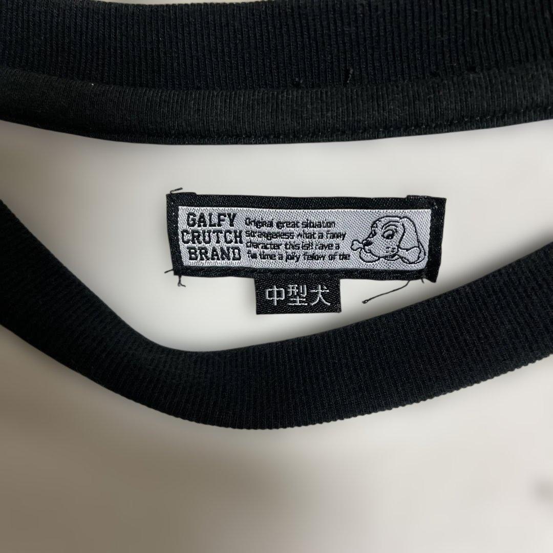 GALFY (ガルフィー) ピカピカ注射器ラグランロン Tee