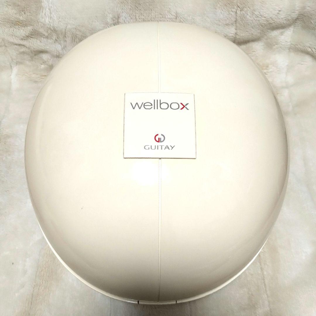 【美品】wellbox GUITAY 家庭用エンダモロジー おうちでエステ