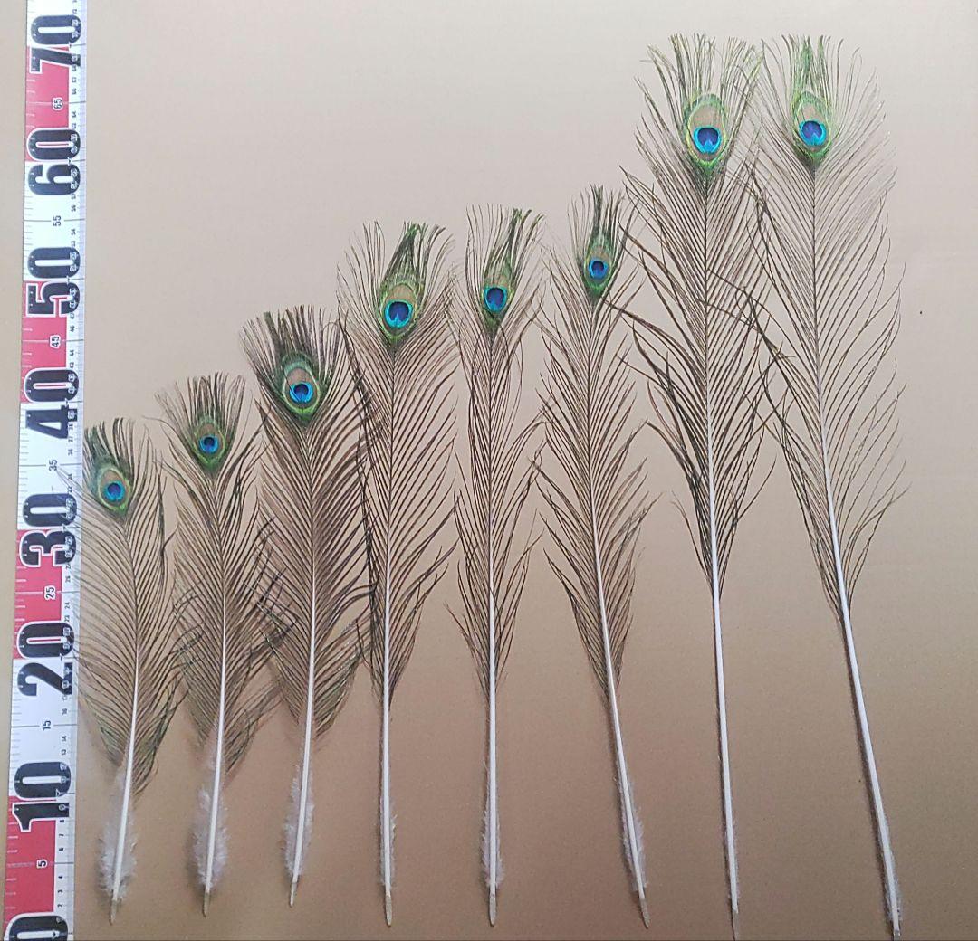 TTGさまリクエスト商品　【孔雀の羽根　ピーコックアイ、ソード&フォーク65本】