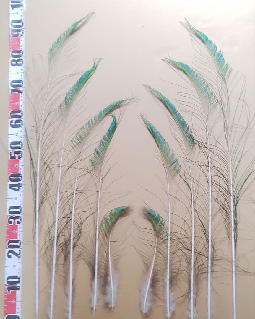 TTGさまリクエスト商品　【孔雀の羽根　ピーコックアイ、ソード&フォーク65本】