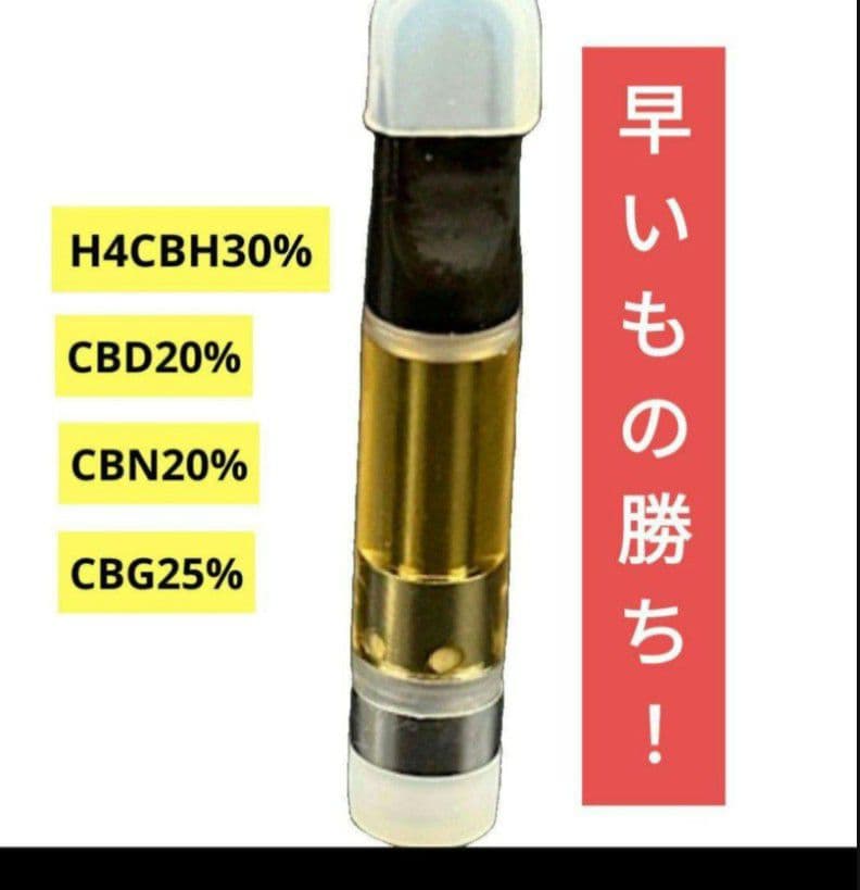 唐揚げH4CBHリキッド！新作！海外インポート！1ml新作！×10