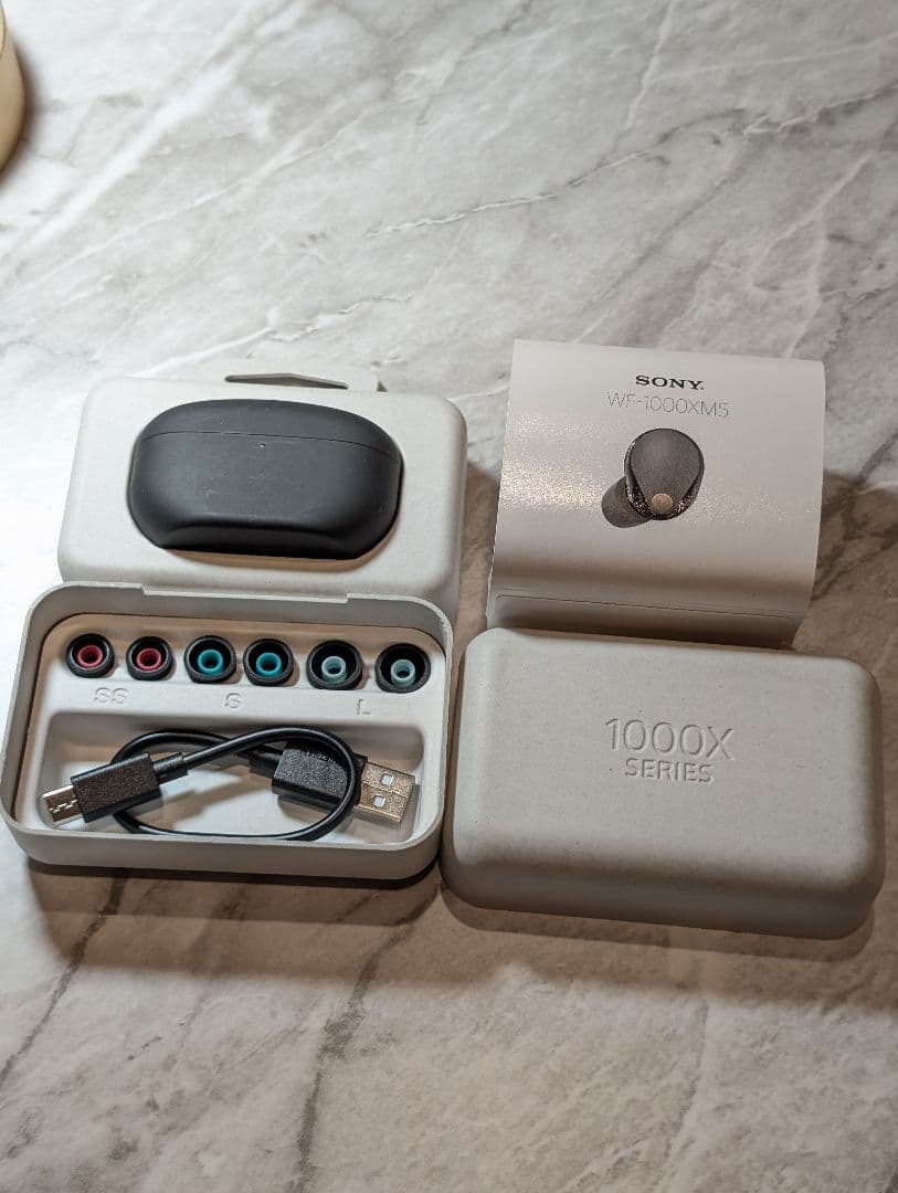 ​【極美品・超短時間使用】SONY WF-1000XM5 ブラック 完動品