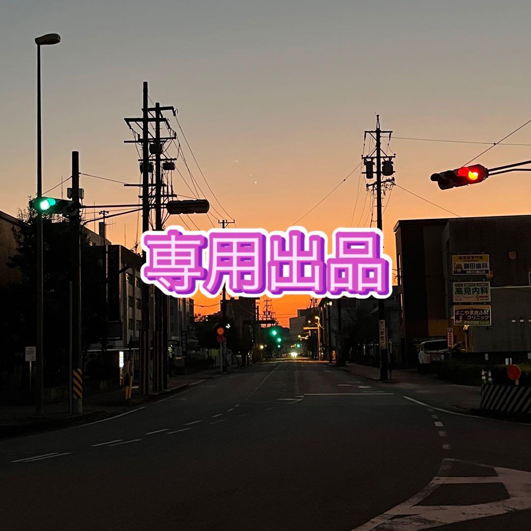 【ハンドメイド】専用出品・宇宙玉　３個