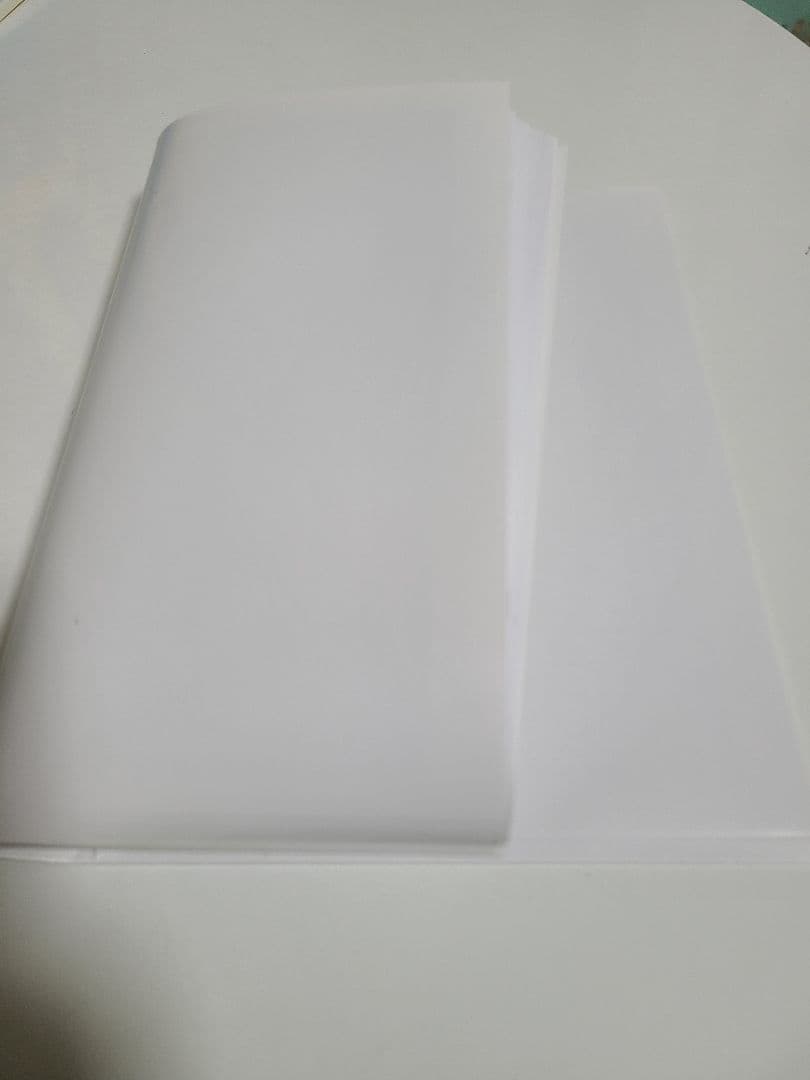 脊柱管狭窄症 1分 スタスタストレッチ