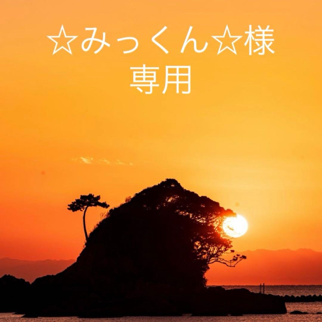 ☆みっくん☆様　木彫り文字