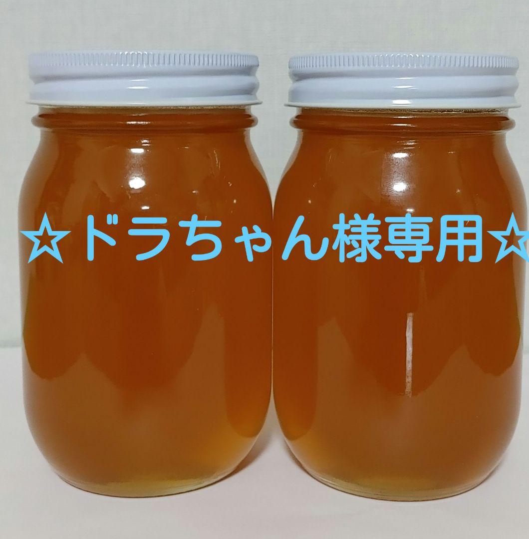 ☆ドラちゃん☆600g×10本　日本蜜蜂の蜂蜜[地蜜(山蜜)]天然100%