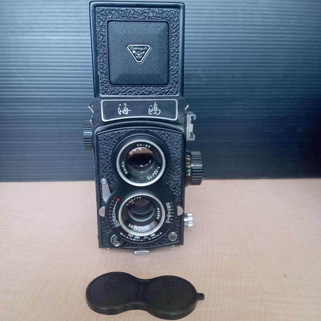 SEAGULL 海嶋　4B-1