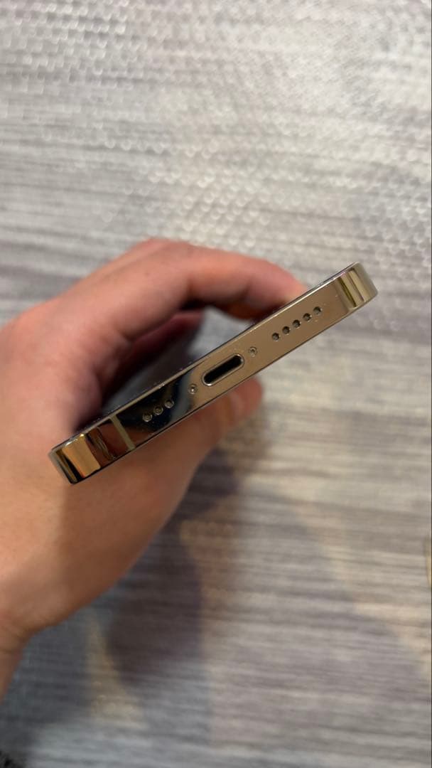 iPhone13pro本体 カメラ不良