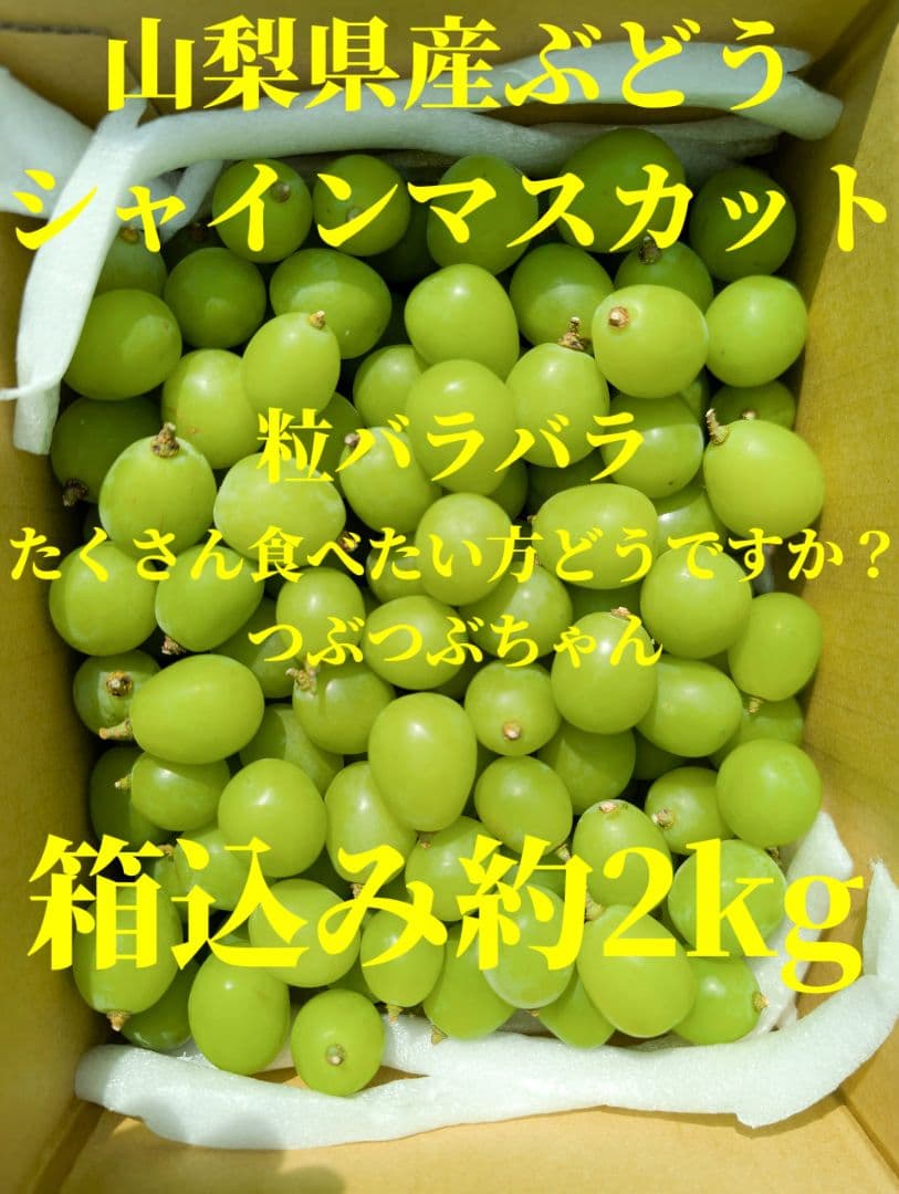山梨県産ぶどう　富士の輝　8房入り　箱込み約5.5kg