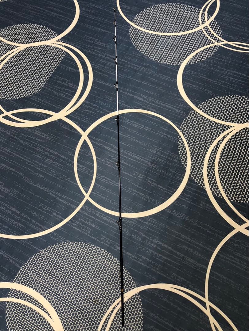 DIOGUTSO 磯竿 500 ロッドケース付き