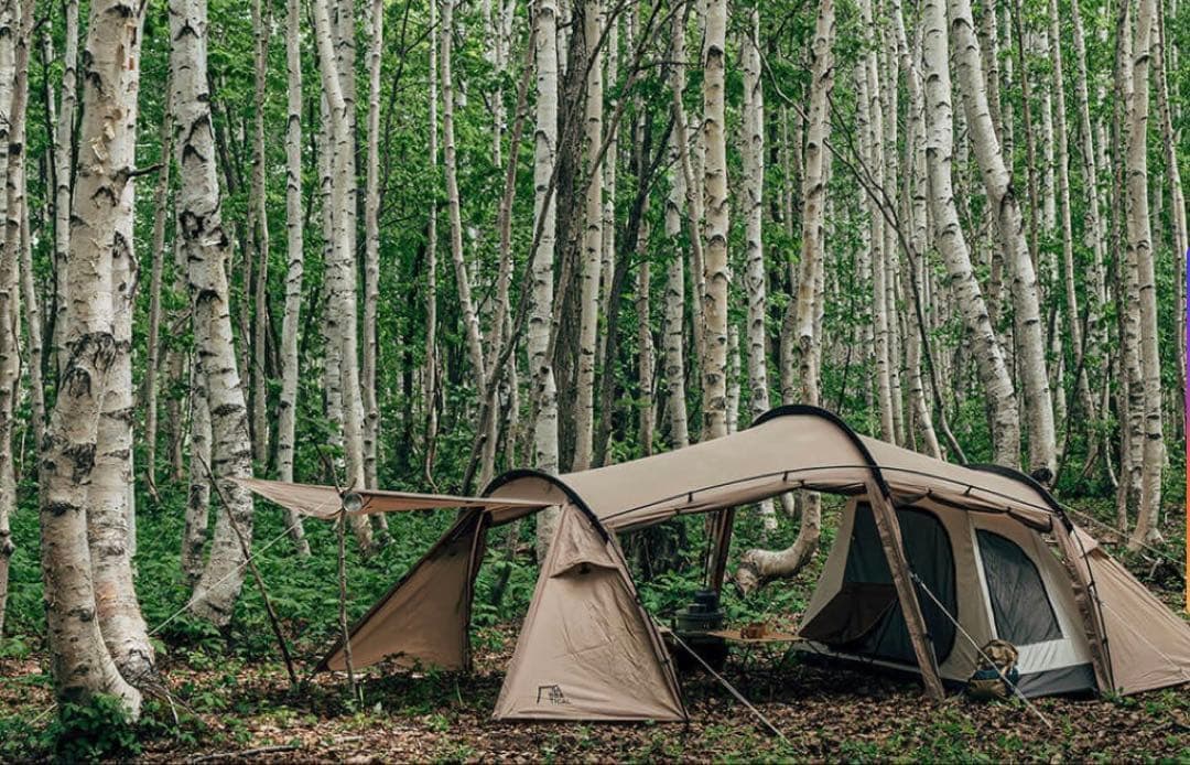 サバティカル　ギリア　廃盤品