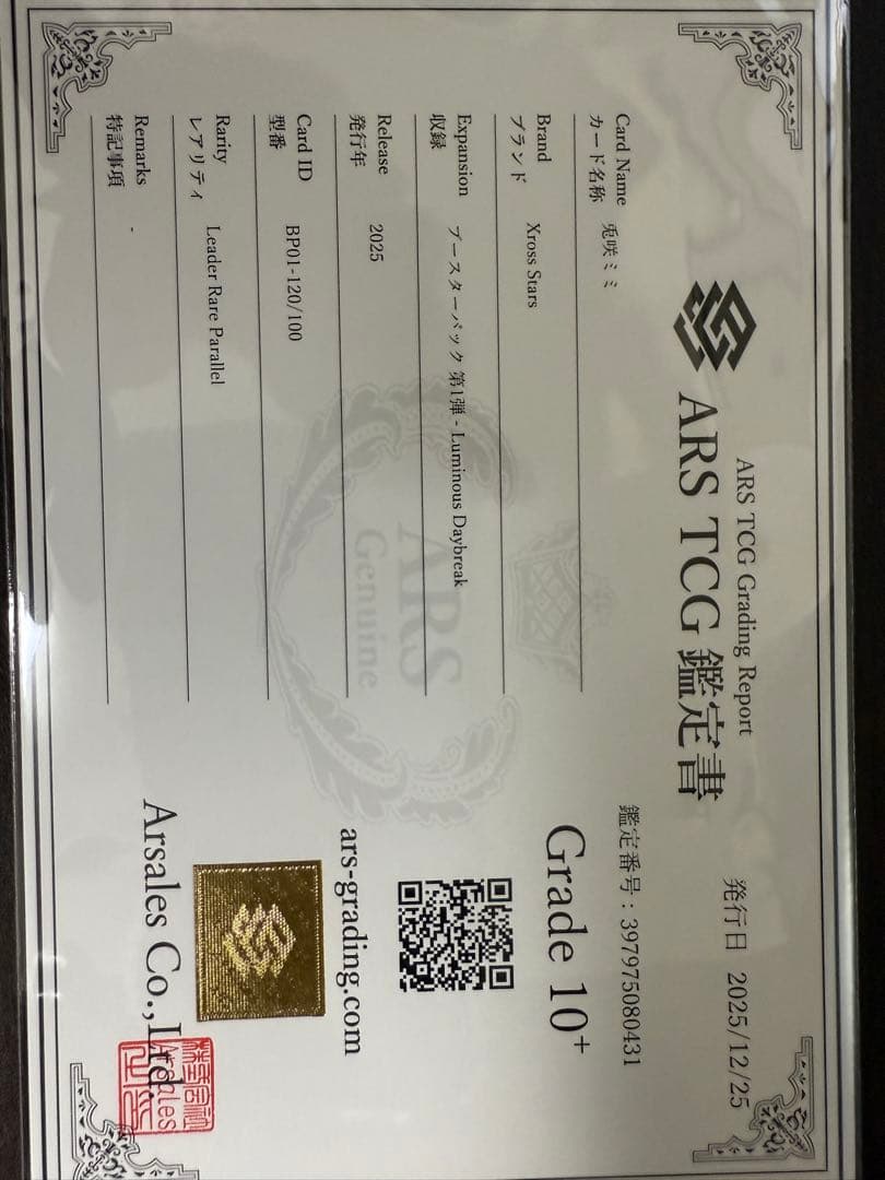 兎咲ミミ LRP ARS10+ Xross Stars