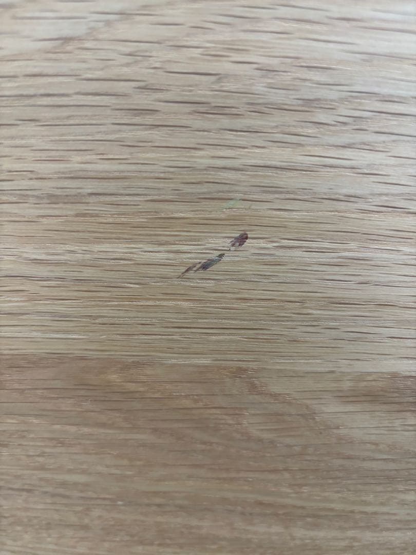 【再値引き中】ISSEIKI社 リビングボード木製 北欧