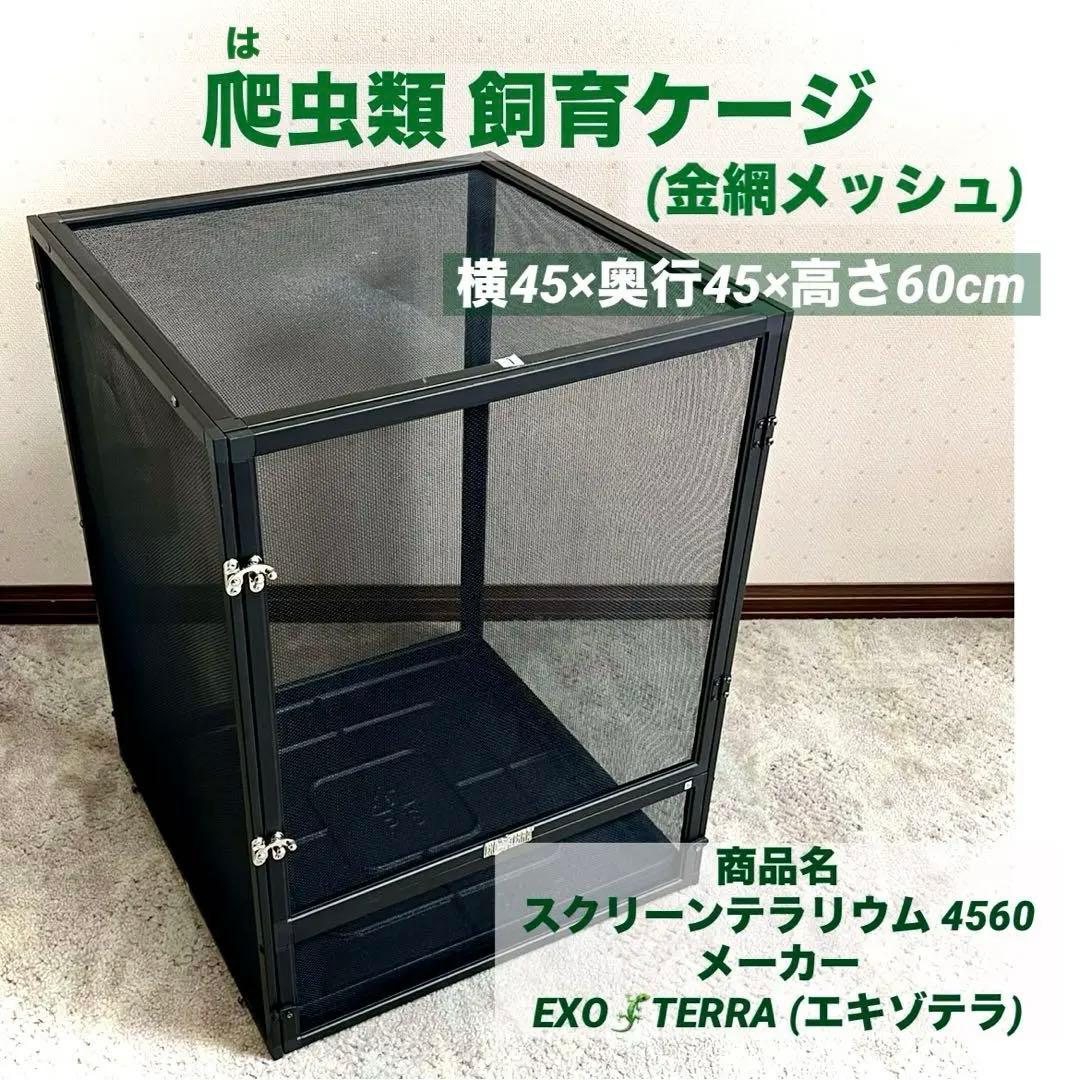 爬虫類 飼育・鑑賞用ケージ⭐️金網メッシュ／45×45×60cm