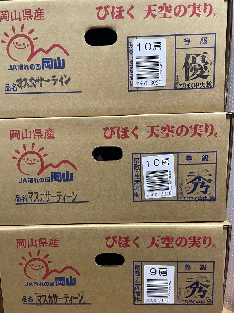 ③ 【岡山県産】マスカサーティーン(葡萄)9〜10房 約5キロ