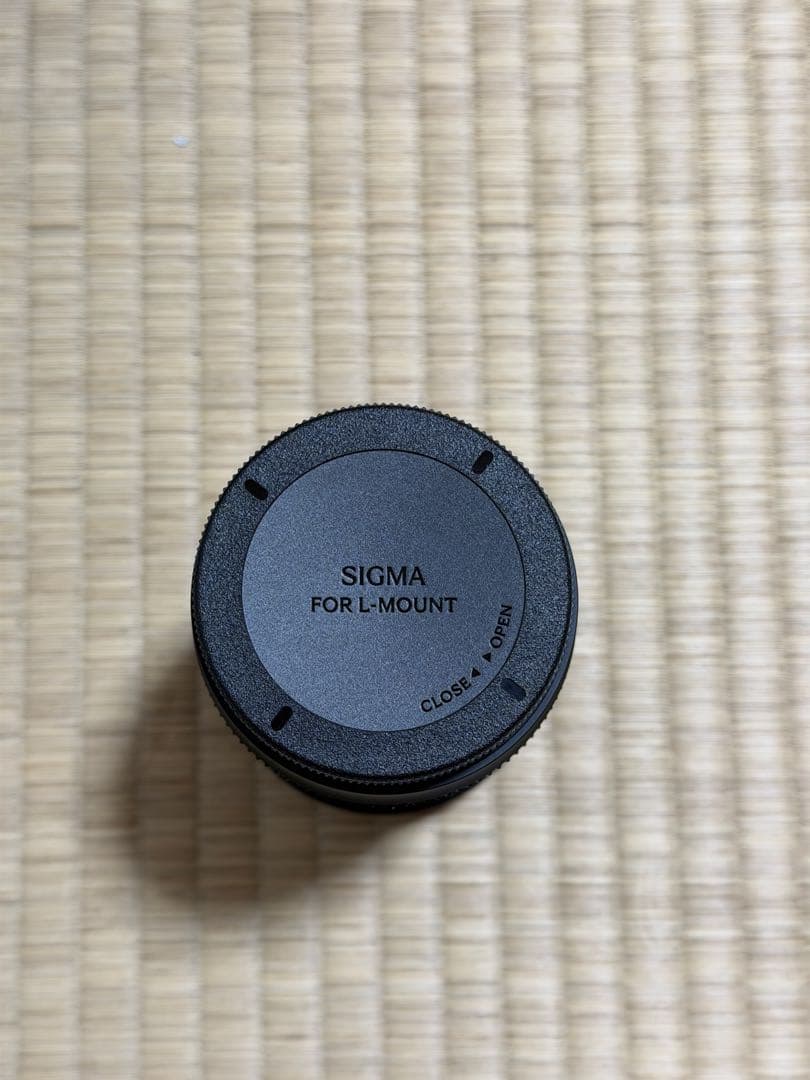 SIGMA (シグマ) Contemporary 20-200mm Lマウント(