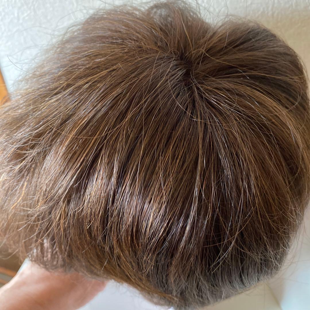 ゆ*ん様 アートネーチャージュリアオージェ人毛ミックスウィッグ