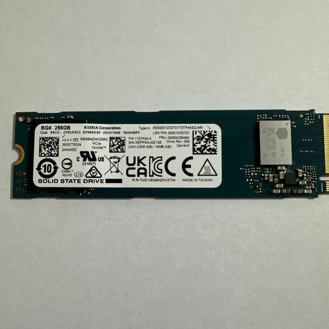 内蔵型SSD KIOXIA B66 256GB M.2 SSD