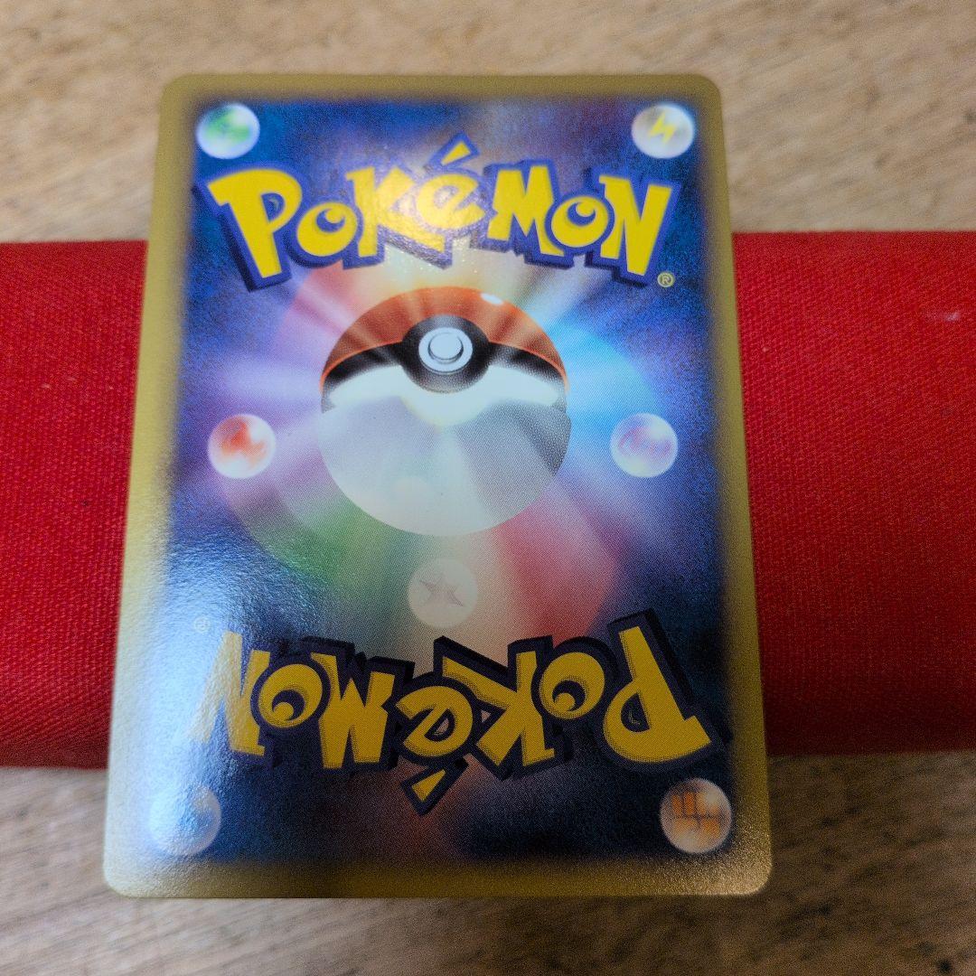 2010年　ピカチュウワールド フランス