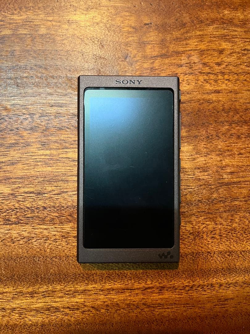 【動作確認済】SONY ウォークマン NW-A45HN 値下げしました