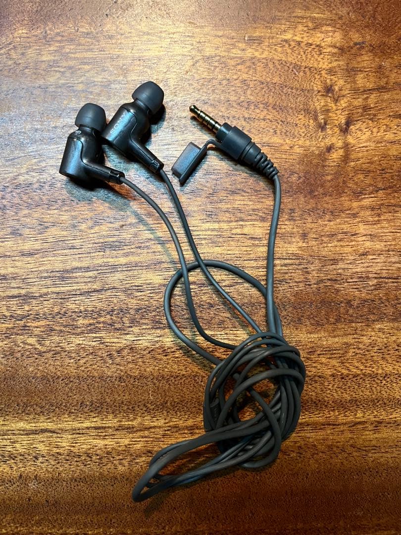 【動作確認済】SONY ウォークマン NW-A45HN 値下げしました